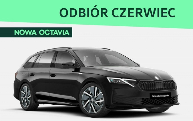 Skoda Octavia cena 174100 przebieg: 5, rok produkcji 2024 z Suwałki małe 22